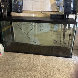 🔥 BRAND NEW IN BOX: Complete 55-Gallon Aquarium Setup! 🐠
