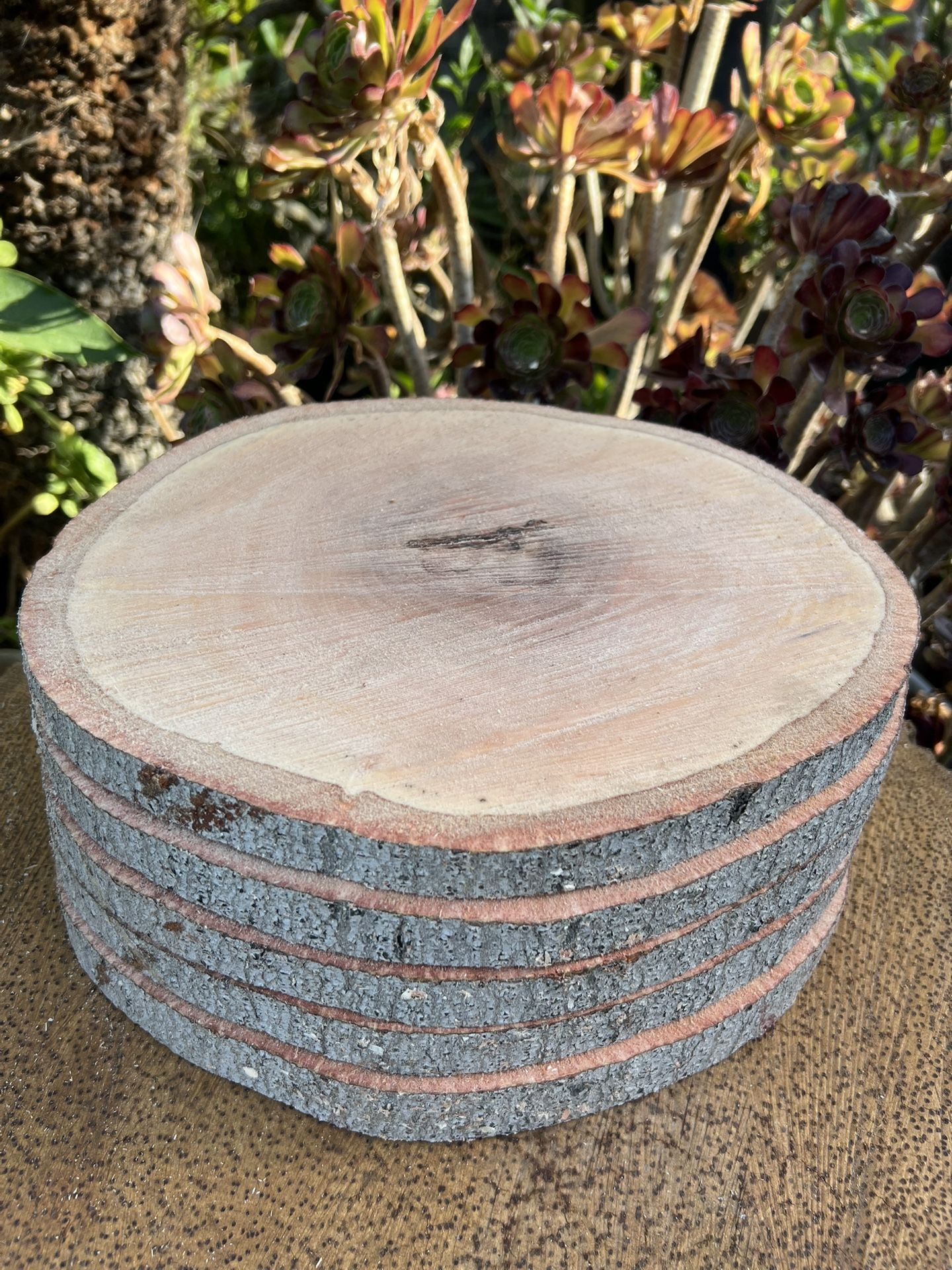 Oak Wood Slices(Center Pieces)