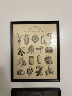 The Vegetable Garden Framed Botanical Print