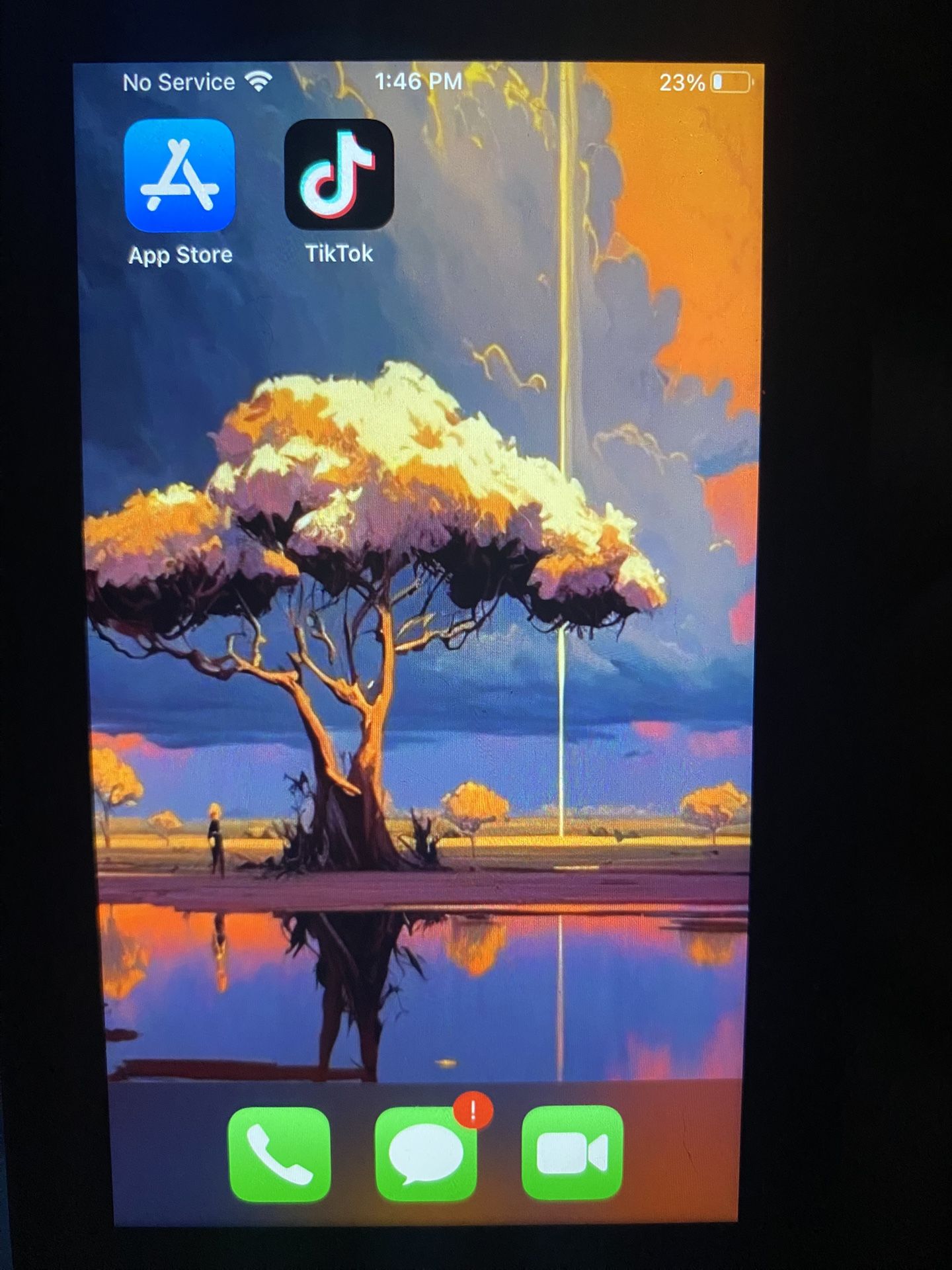 IPhone 8 ( With TikTok)