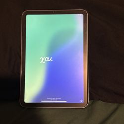 ipad Mini (A2993)