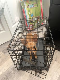 dog crate