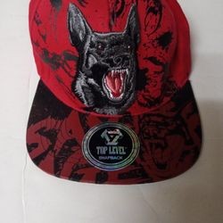 Top Level Snapback Hat