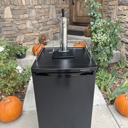 New edgestar Kegerator