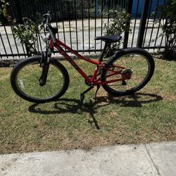 Trek Youth Mountain Bike