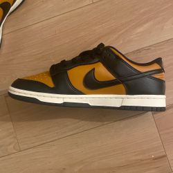 Nike Shoes Brand New 