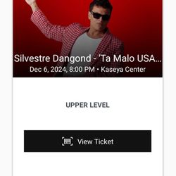 2 Silvestre Concert Tickets