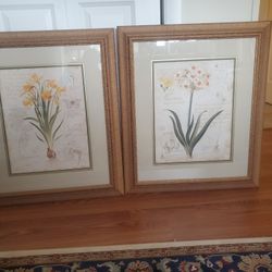Beautifully Framed Floral Pictures