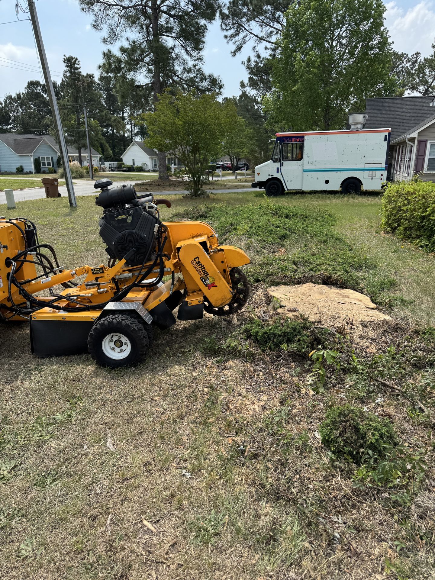 Stump Grinding
