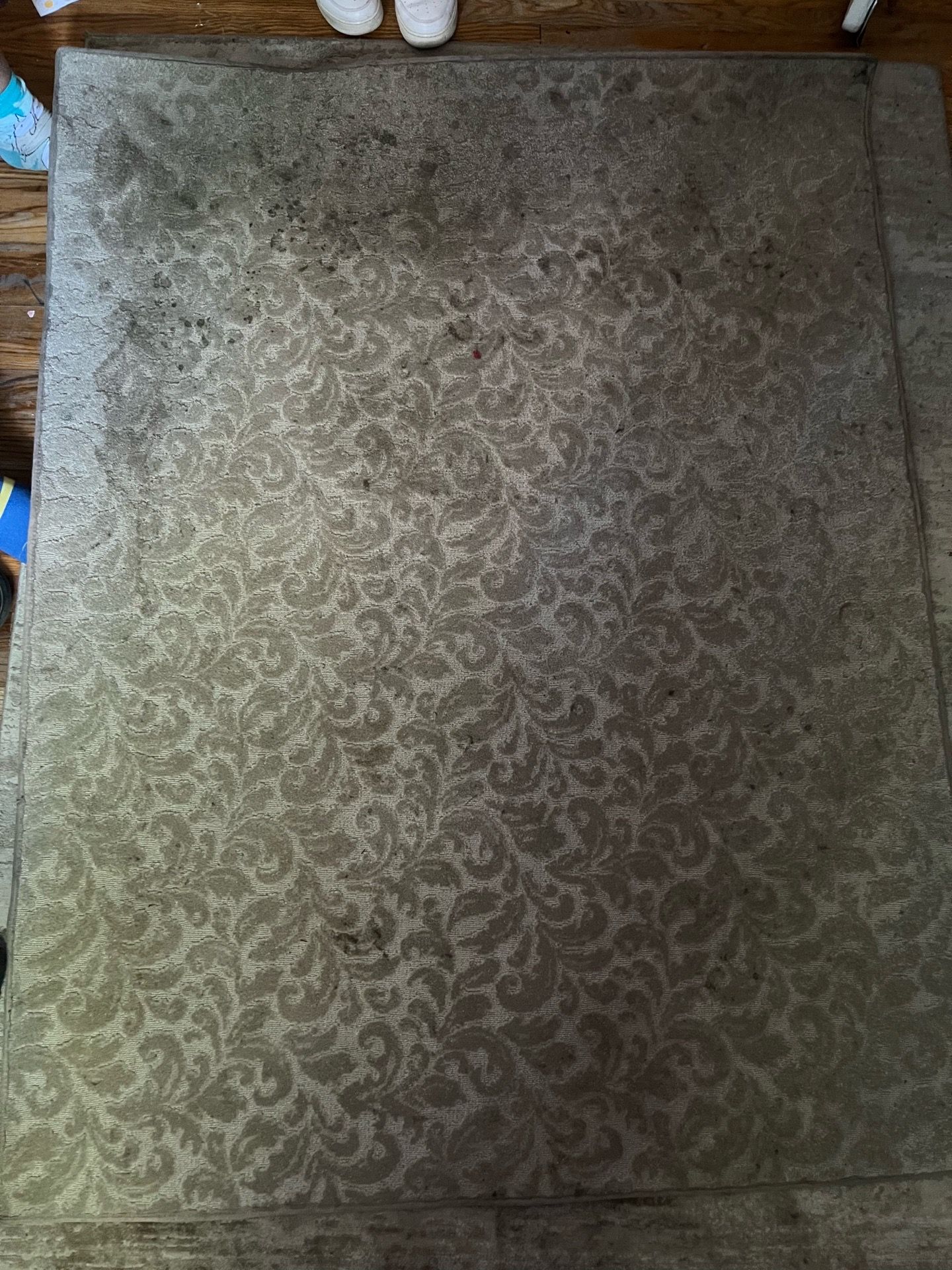 Rug