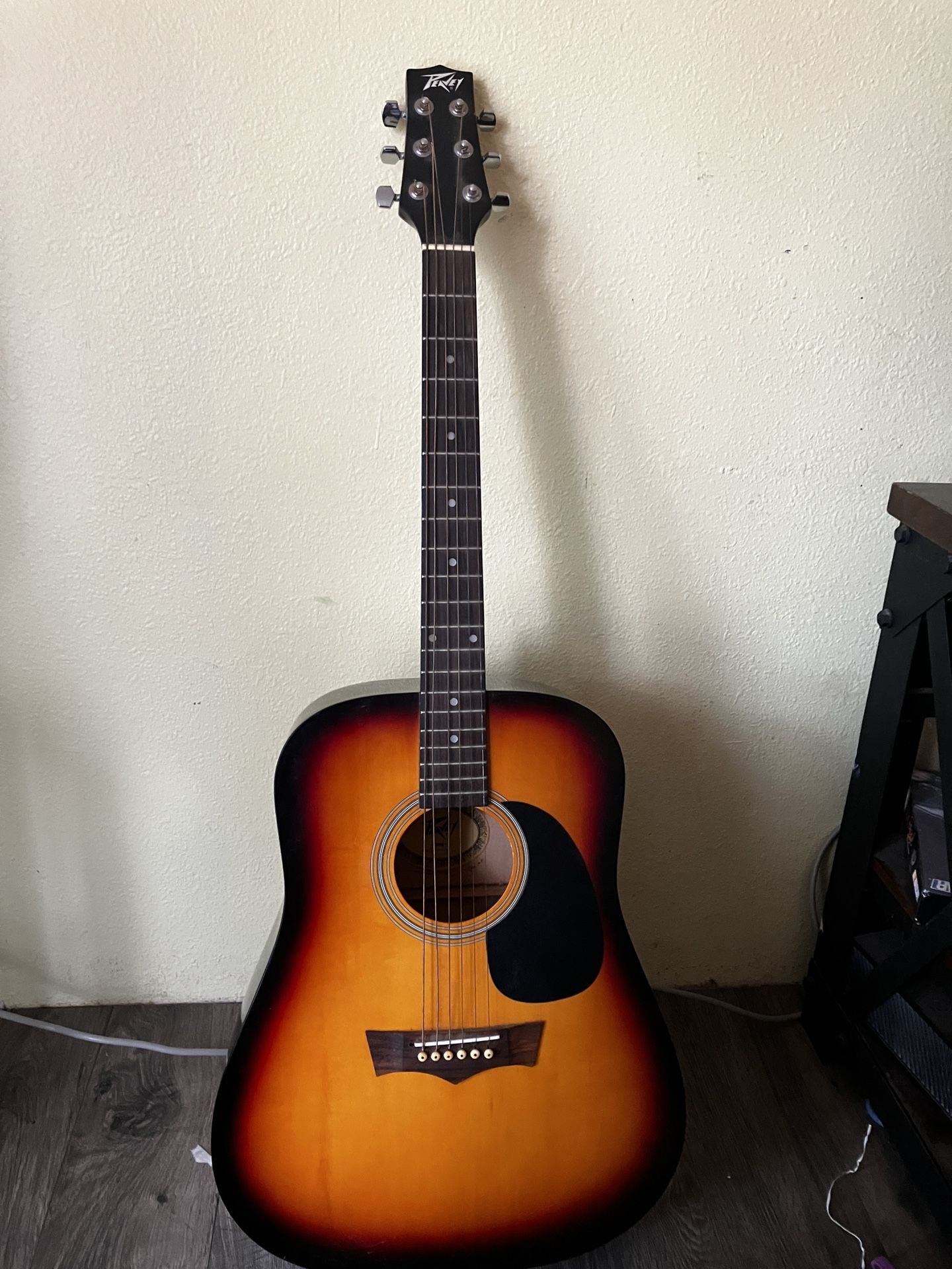 Peavey Acoustic Guitar And Soft Shel Case 