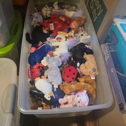 Ty Beanie Babies 