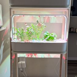 Shelf System And 2 Large Click n Grow Large Planters