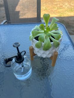 plant stand