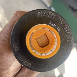 12” Pop Up Sprinkler Rain Bird 
