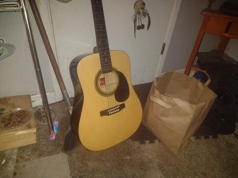Acoustic Rogue Guitar