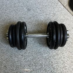 Dumbbell Single 35 Pounds Total Weight, Including Hand, Grip And Locking Nuts Chrome