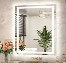 TETOTE 30 in. W x 36 in. H Rectangular Frameless Wall LED Lighted Bathroom Vanity Mirror with Light with Backlit and Anti-Fog