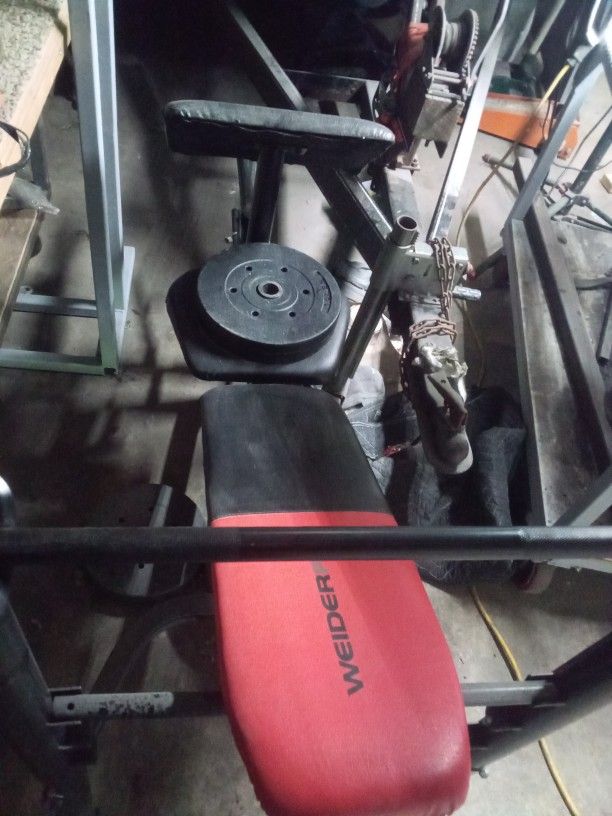 Bench Press