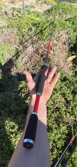 Daiwa ballistic