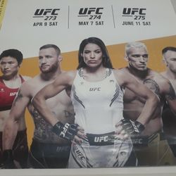 UFC POSTERS  $20