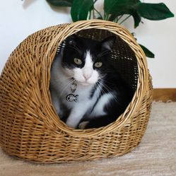 Wicker Pet Basket, Woven Cat Basket, Small Dog Bed, Cat House, Cat Sleeping Bed, Basket For Animals, Cat Basket Bed, Rattan Animal House