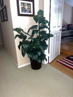 Artificial Plant