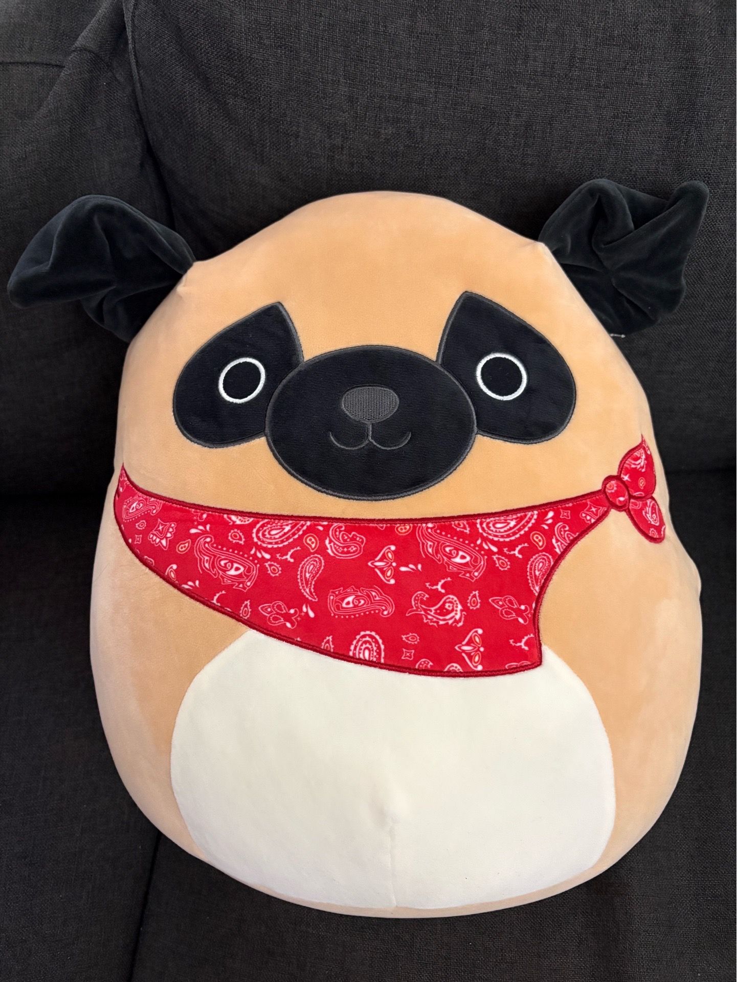 NEW Squishmallow “Prince” Dog 16”-17”