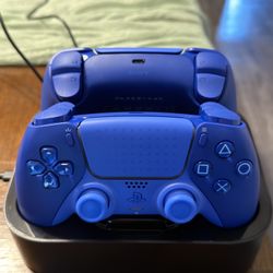 PS5 Controllers 