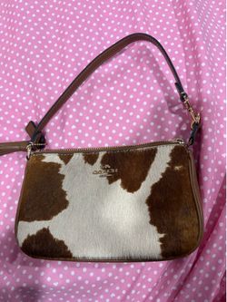 Coach cow