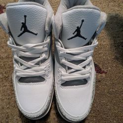 Elephant Jordan 3s