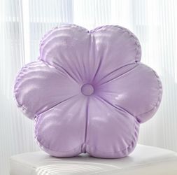 Pillows brand new