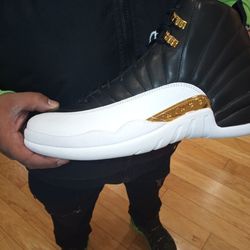 Jordan 12 Retro Wings