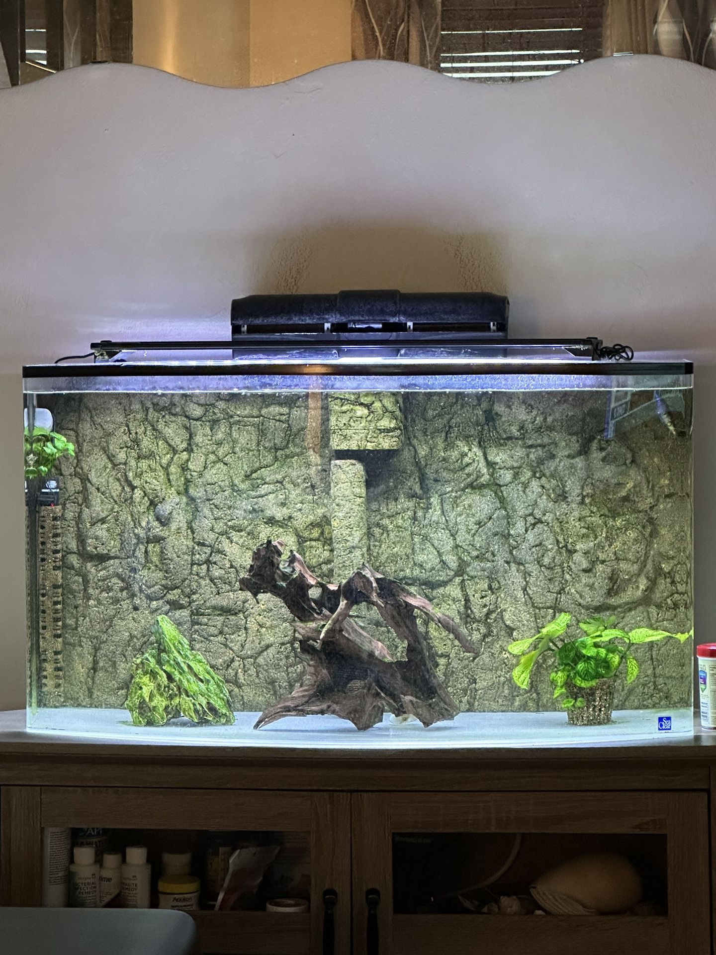 Fish Tank & Everything With It / Acrylic 55 Gallons / Pick Up Only 