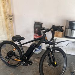 Q Life Bike 