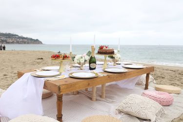 Elegant Picnic Table and Setup