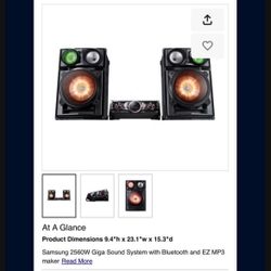 Samsung Giga Beat Speakers 