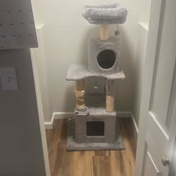 Big Cat Post