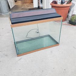 Fish Tank Aquarium