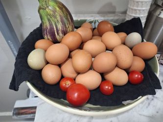 Eggs