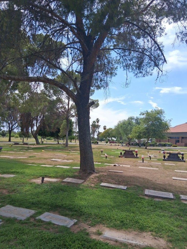 Cemetary Plot For Sale By Owner