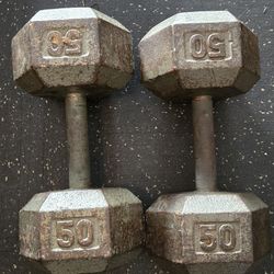 50 Lb Dumbbells 