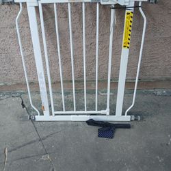 Security  Gate