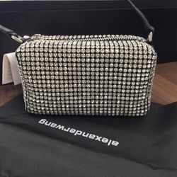 Alexander Wang heiress pouch in crystal mesh