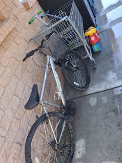 Moongoose Bike As Is