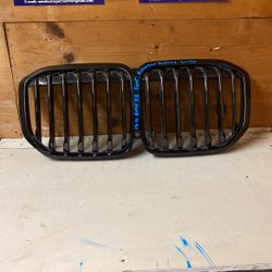 Front Radiator Kidney grill BMW X5