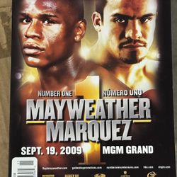 Fight Official Programs And Posters 