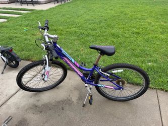 Schwinn Rayder Kids Mountain Bike