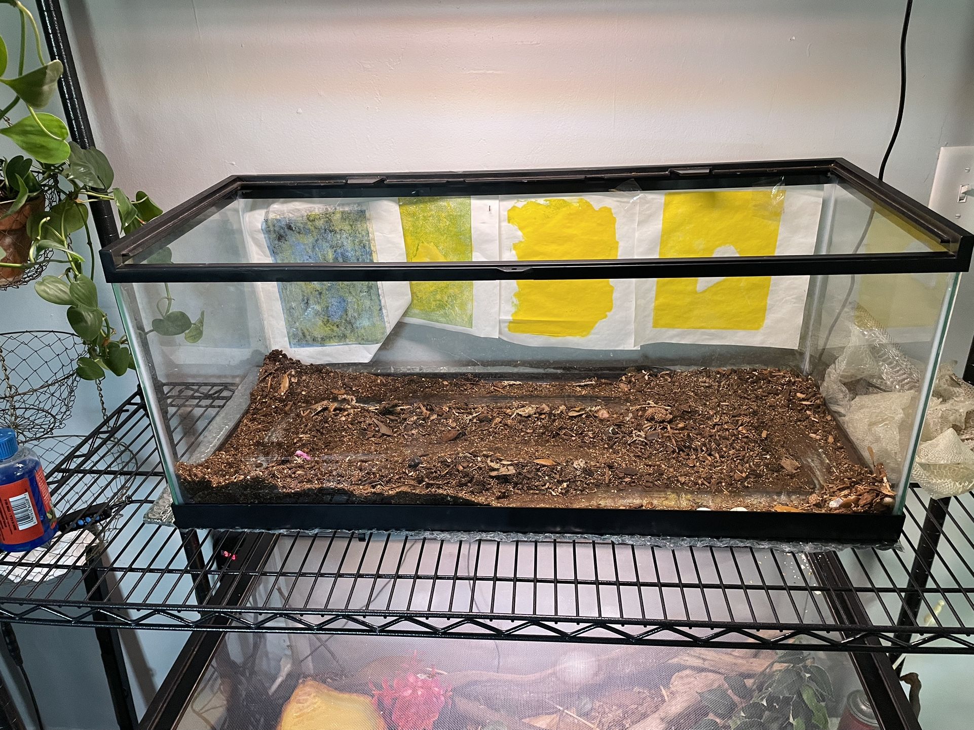 20 Gallon Reptile Tank Enclosure Terrarium