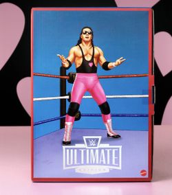 WWE® Ultimate Edition Coliseum Collection Hart Foundation™ Action Figure 2-Pack
